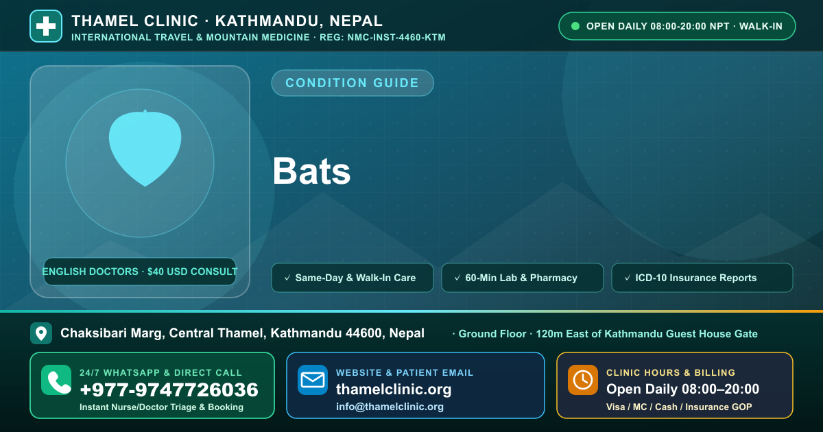 Bats — Thamel Clinic, Chaksibari Marg, Central Thamel, Kathmandu — Call/WhatsApp +977-9747726036